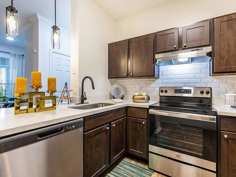 Contemporary Houston Apartment with Designer Kitchen photo 1