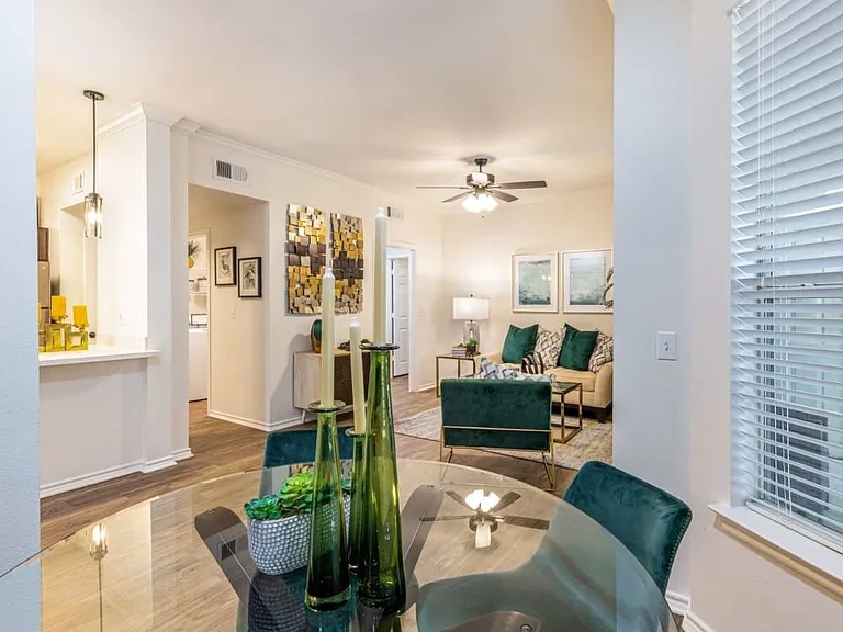 Contemporary Houston Apartment with Designer Kitchen photo 5