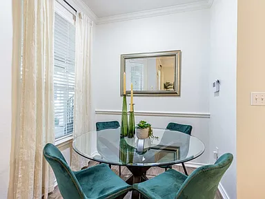 Contemporary Houston Apartment with Designer Kitchen photo 6